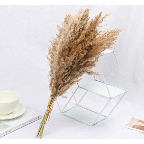 10pcs Natural Dried Pampas Grass Reed Flowers Bunch Artificial Plants Dried Bouquet Reeds Wedding Home Bouquet Decor 4Colors