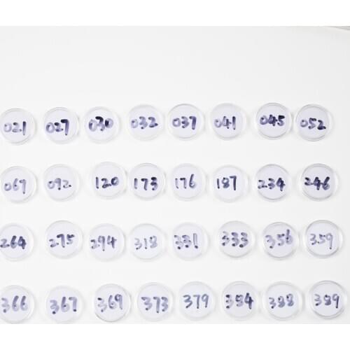 Animal Crossing Card (001 to 030) NFC 215 Card Work for NS Games Series