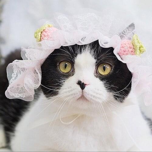 Cute Pets Dog Cats Headwear Colorful Pet Headband for Small Medium Dog Cats Pet Puppy Cosplay Costume Pet Hair Accessories