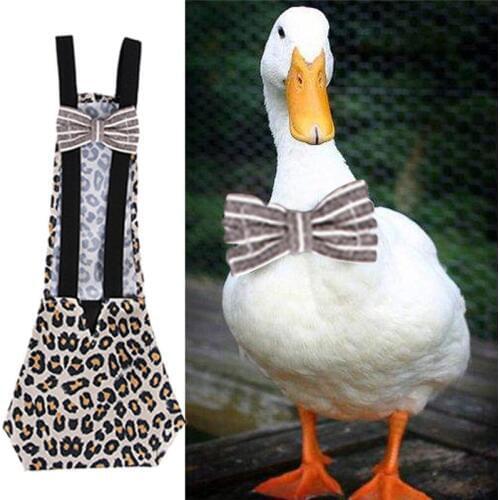 S/M/L Chicken Duck Diaper Farm Clothing Print Flower Polyester Bowknot Pet Diaper With An Elastic Band Pet Accessary