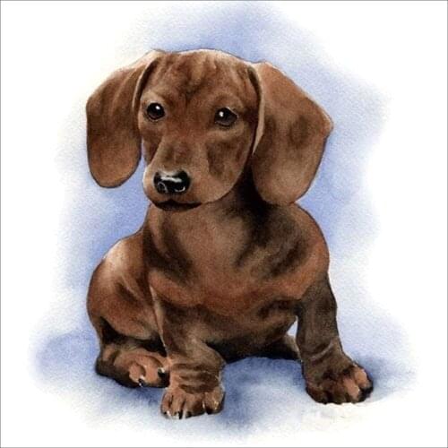 Animal Dog Dachshund DIY 11CT Embroidery Cross Stitch Kits Craft Needlework Set Printed Canvas Cotton Thread Home Wholesale
