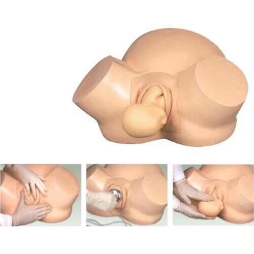 Midwifery fetal Medical teaching manikin Nursing skills Training Simulator