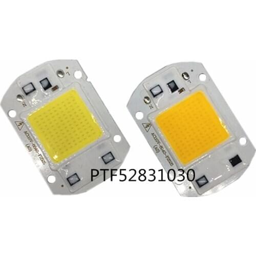 10PCS 20W 30W 50W LED Floodlight COB Chip light 110V 220V Input Integrated Smart IC Driver