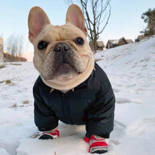 Fashion Pet Dog Down Jacket Snowsuit Winter Warm Sweater Hoodie Coat For Small Medium Dogs Schnauzer Pug Dropshipping YHC65