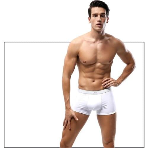 Boxer Men Underwear White Cotton Boxershorts U Pouch Panties Men Sexy Underpants Male Youth Underware 4 Pcs Plus Size 4XL 5XL