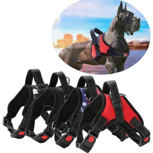 Первый питомец YILANYUNCHUANG China At AliExpress