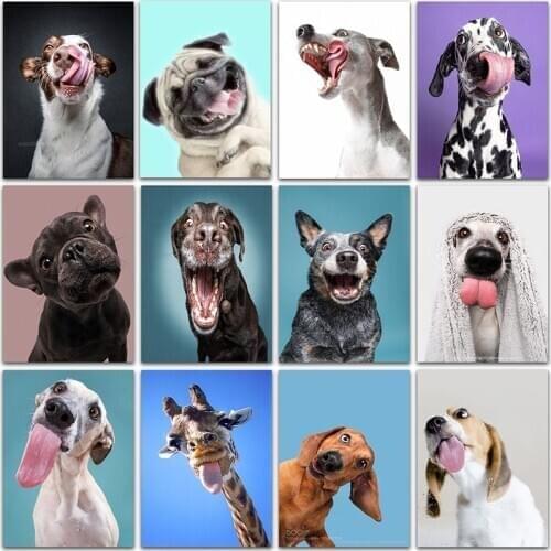 5D DIY Diamond Painting Kit animal Cartoon Funny dog Bulldog Full Square&Round embroidery mosaic Cross stitch Paint home decor