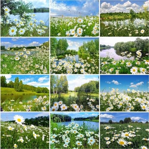 Evershine 5D DIY Diamond Painting Daisy Full Square Round Diamond Embroidery Lake Landscape Cross Stitch Home Decorations