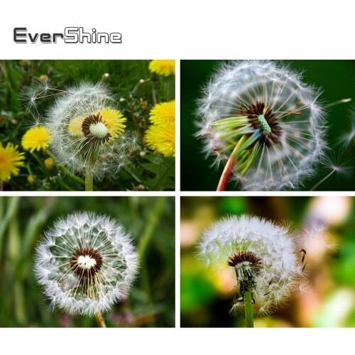 Evershine Full Square Drill Diamond Painting Dandelion Mosaic Diamond Embroidery Full Set Landscape Cross Stitch Home Decoration