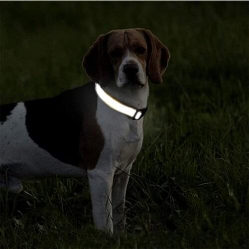 Pet Collar Adjustable Reflective Cat Collar with Bell Nylon Collar Quick Safety Buckle for Puppy Dogs Cats Accesorio Para Perro