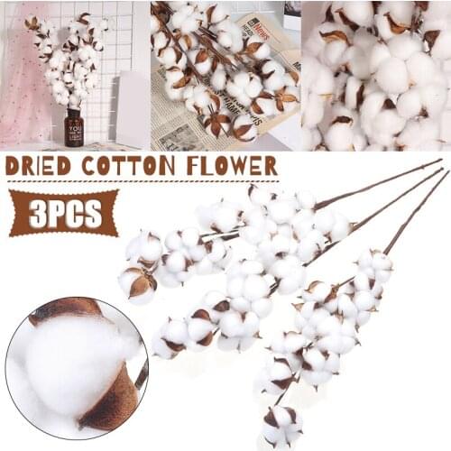 3Pcs Cotton Stems Flowers Dried Flower Branch Plants Floral Decor For Wedding Party Living room Decor Cotton Dried Flowers