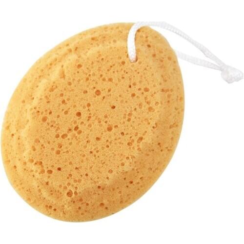 Sace Lady Shower Sponges