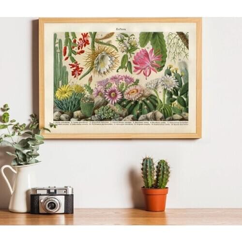 Cactus Flowers Desert Plants Succulents Posters and Prints Botanical Wall Art Educational Retro poster kraft paper