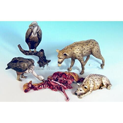 1/35 modern animal set Resin figure Model kits Miniature gk Unassembly Unpainted