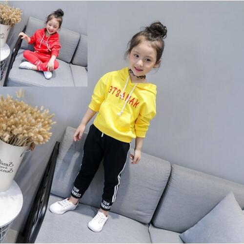 New baby girl casual clothing set hoodies shirts+pants 2pcs girls children spring fall suits
