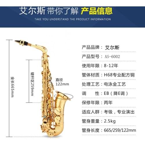 Beginners Examination, Adult Professional Performance, E-flat Alto Saxophone