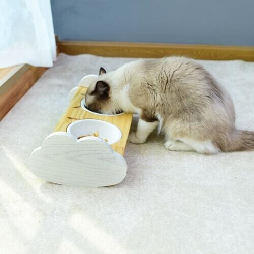 Pet wooden Tilted Feeders Pet Anti-slip Double Ceramic Bowl Cat Dish with Slope Base Lovely Pet Bowls with bamboo stand