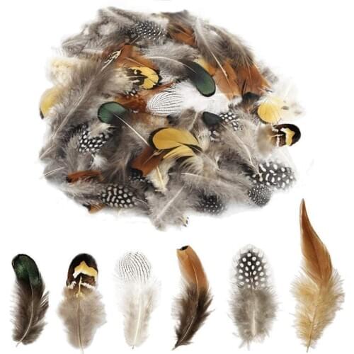 24Pcs Multiple Styles Natural Peacock Pheasant Feathers for Crafts Jewelry Making Accessories Decoration Plumes 5-15CM Wholesale