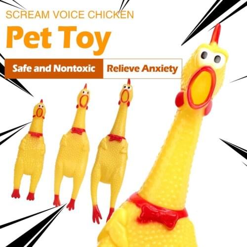 Squeak Dog Toys Interactive Toys for Dogs Shrieking Chicken Smart Educational Toys for Chihuahua Pug Cats Pet Dog Accessoires
