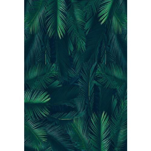 Vinyl Jungle leaves tropical party theme birthday backdrop decoration photographic background photo backdrop for photography