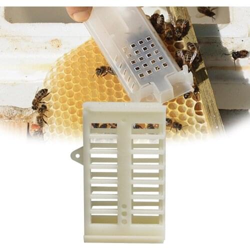 Bee Queen CageGoods Tools For Beekeeper Supplies