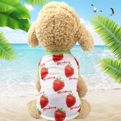 Cute Spring Summer Dog Vest Fruit Printed Mesh Thin Cooling Pet Dog Vest Breathable Sleeveless Shirt For Small Medium Dogs