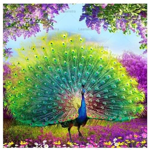 Diy 5D Diamond Painting Cross Stitch Full Square Diamond Embroidery Peacock Wealth and Good Fortune Mosaic Rhinestone Home Decor