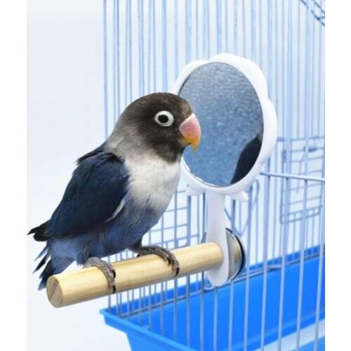 Wooden Pet Birds Toys with Mirror Fun Toy for Cockatiel Parrots Small Birds Stand Toys Pet Parrots Climb Bird Cage Accessories