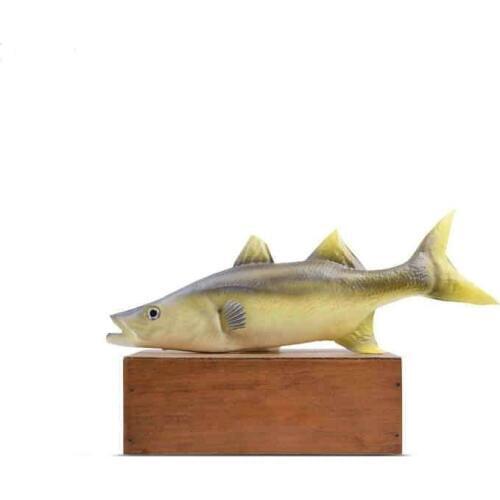 Food toys Simulation Tuna Fake Marine Animal Specimens Seafood Food Model Window Home Decoration Early Education Cognitive Toys