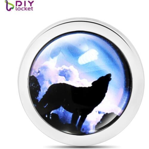 New Wolf Glass Coins Pendant For Moneda pendant/ Coin frame/Mentun locket 5pcs/lot (5 style to choose) MICO259-263*5
