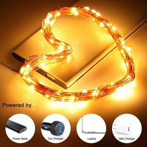 ORAOKO LED String Lights With Transparent Wire