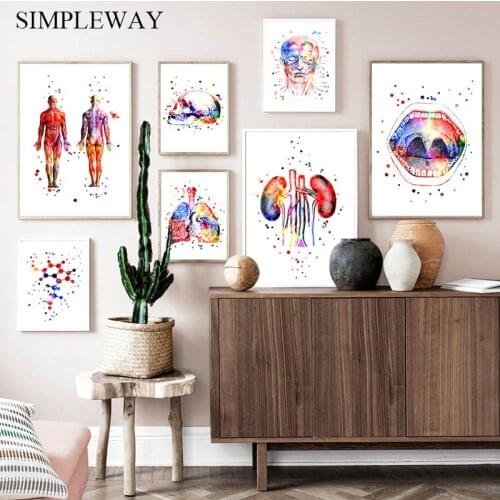 Watercolor Human Anatomy Artwork Medical Wall Picture Organ Skeleton Structure Poster Nordic Canvas Print Education Painting
