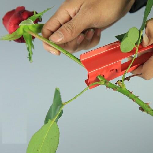 Zhi tuo Gardening Tools