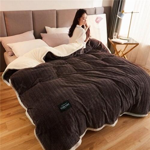 Winter Thicken And Warm Short Plush Solid Color Quilt Cover Tropical Large Double-Sided Coral Fleece Not Including Pillowcas