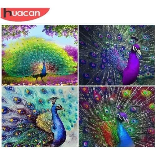HUACAN Paint By Number Animal DIY Pictures By Numbers Peacock Kits Hand Painted Painting Art Gift Drawing On Canvas Home Decor