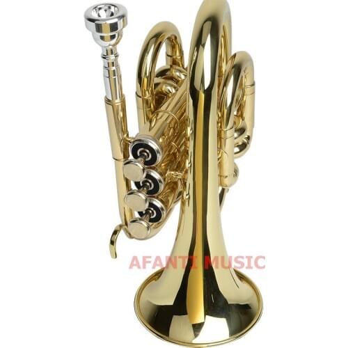 Afanti Bb tone Brass Body Gold Lacquer Trumpet (ATP-145)
