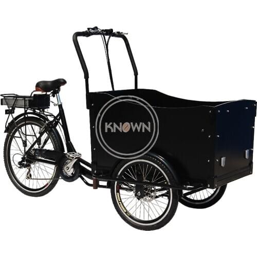 Electric Adult Tricycle Family Cargo Bike Aluminium Frame 6 Gear Speeds Drift Trike for Grocery Shopping and Children Transport