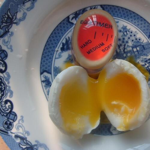 Elenxs Egg Timers China