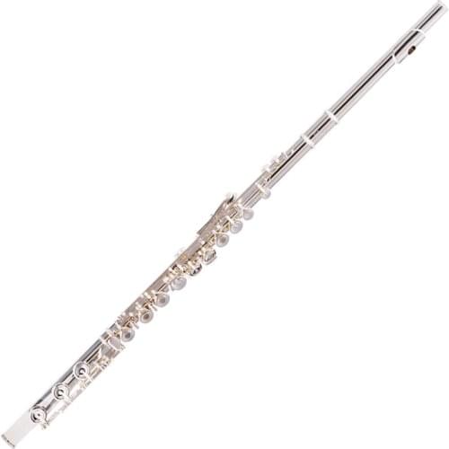 FLOFAIR FL-566 17 Holes In a Row Of Holes, E, Silver Copper, French Keys, C Flute, Beginners Test Western Instruments Parts