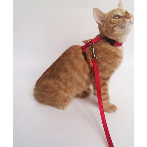 1PC Cat Dog Leash And Adjustable Collar Harness Nylon Pet Traction Cat Kitten Halter Collar Cats Products For Pet Harness Belt