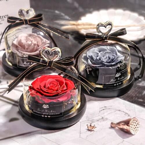 The Beauty and Beast Rose Valentines Day Gift Eternal Rose With Night Light in Glass Dome Birthday Gift Mothers Day Gift DIY