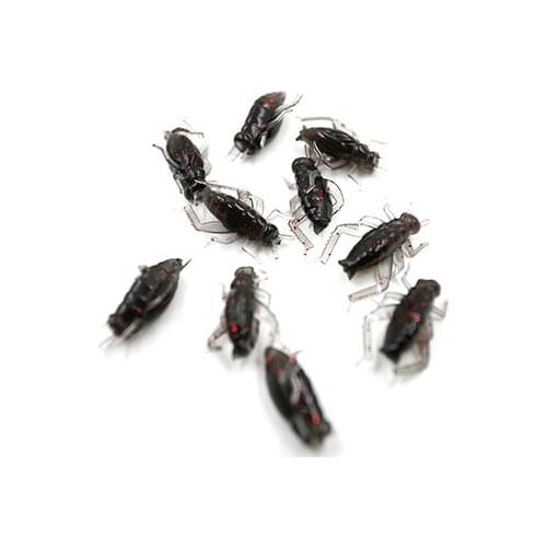 10pcs/Bag Black Soft Fishing Lures Insect Cricket Artificial Bait Lure Fishing Swimbait Fishing Accessories
