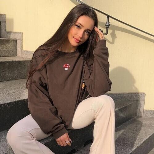 Vintage E Girl Hoddies Women Crew Neck Sweater Streetwear Pretty Style Embroidery Y2k Chic Wear Sweatshirt Brown Cropped Tops