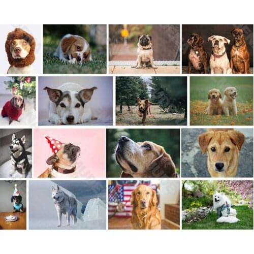 Diy Diamond Painting Dog 2021 New Full Diamond Flower Handmade Point Diamond Bedroom Living Room Sticker Diamond Cross Stitch