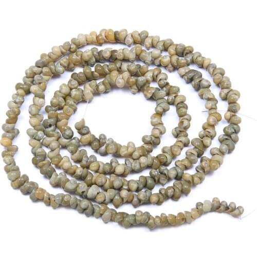 New Natural Shell Beads White Snail Shape Loose Beads for Crafts Home Decor Jewelry Making DIY Necklace Accessories 300Pcs/lot