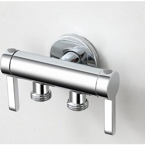 SKOWLL Bathroom Faucet Double Handle Dual Control Single Cold Water Faucet Stainless Steel Toilet Faucet Polished Chrome Wc-2512