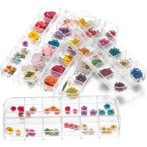 1 Box Daffodil Daisy Real Dried Flower Dry Plants for Epoxy Resin Molds Pendant Necklace Jewelry Making Craft DIY Accessories