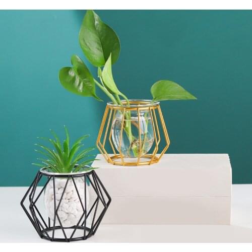 Plant Holder Hydroponic Plant Flower Home Decor Modern Iron Line Vase Terrarium Geometric Vase Metal Nordic Golden Glass Vase