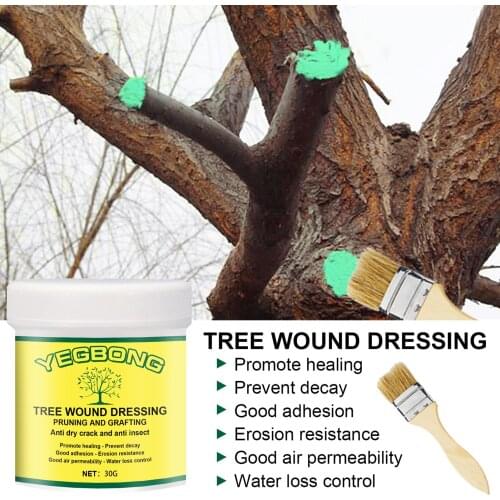 Tree Wound Pruning Sealer & Grafting Compound 30/100/300g Wound Dressing With Brush For Bonsai Branch Трансплантат Комплекс Jw
