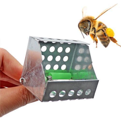 2 pcs Beekeeping Queen Bee Catcher Cage Stainless Steel Bees Marking Catchers Clip Durable Material Beekeeper Apiculture Tool
